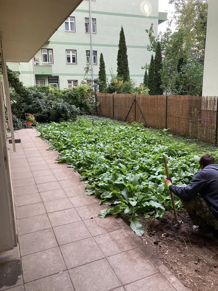 Project Zahrady Brno 