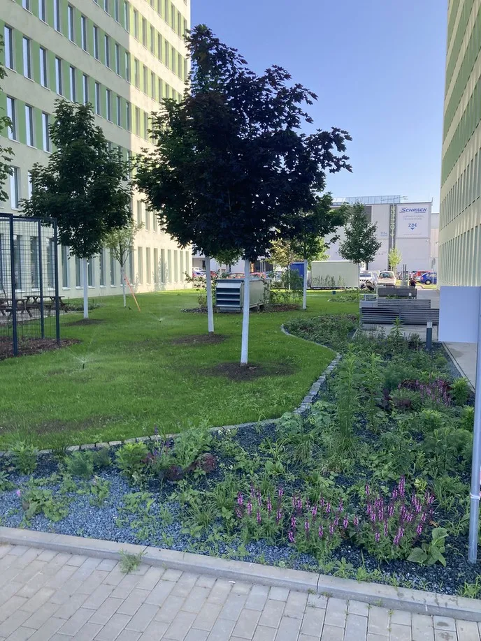 Project Zahrady Brno 